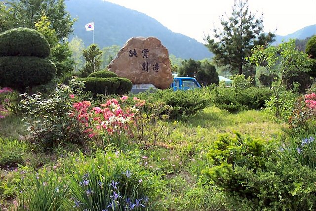 ��ſ� �ð� �Ǽ���