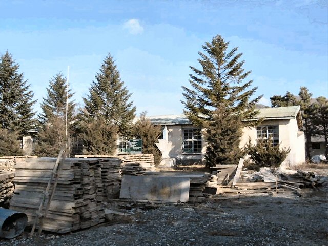 ��ſ� �ð� �Ǽ���