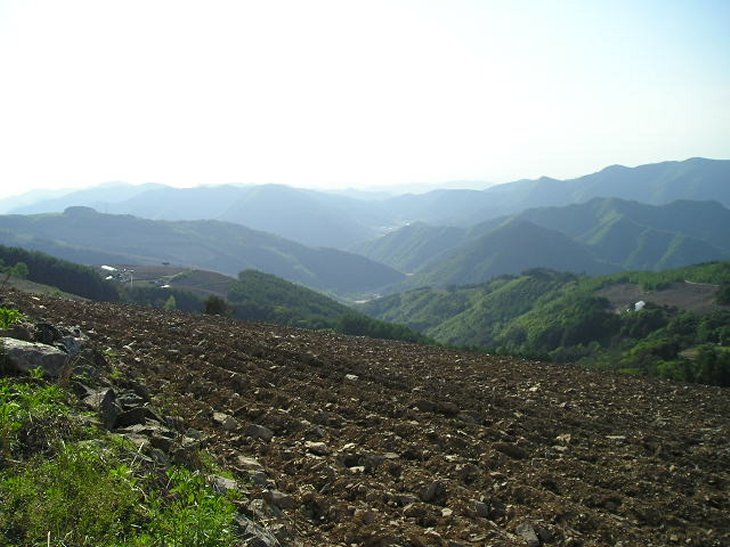 ��ſ� �ð� �Ǽ���