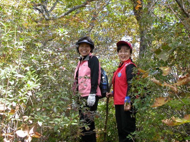 ��ſ� �ð� �Ǽ���