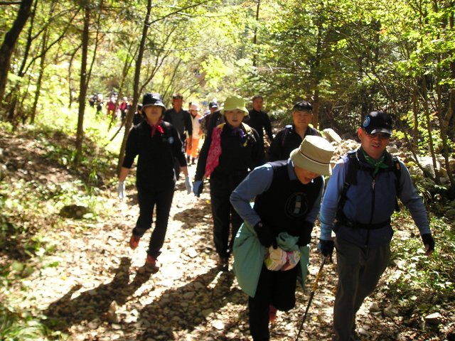 ��ſ� �ð� �Ǽ���