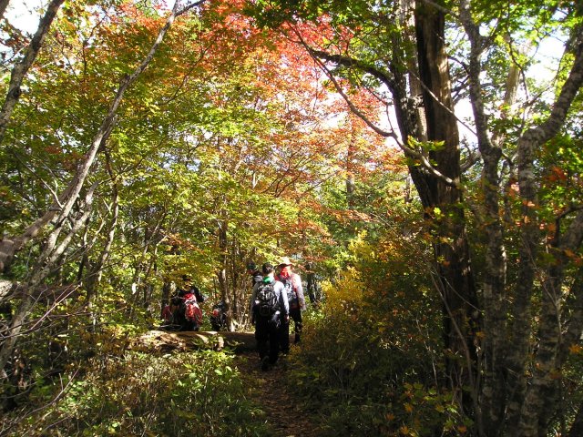 ��ſ� �ð� �Ǽ���