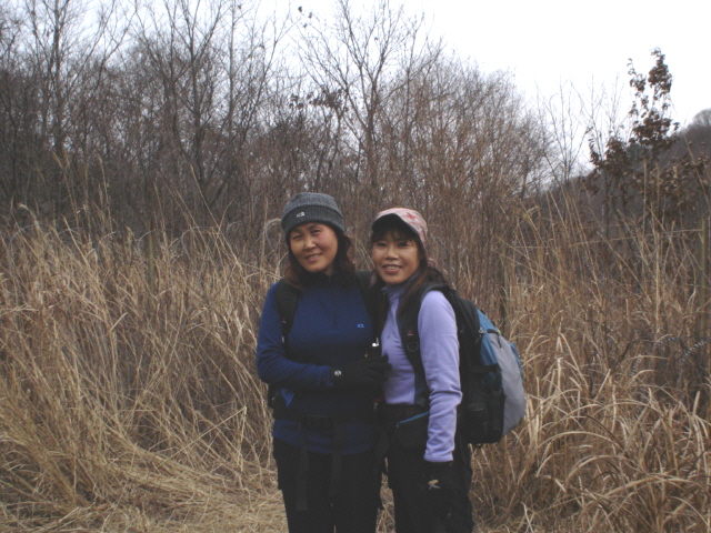 ��ſ� �ð� �Ǽ���