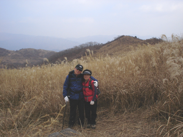 ��ſ� �ð� �Ǽ���