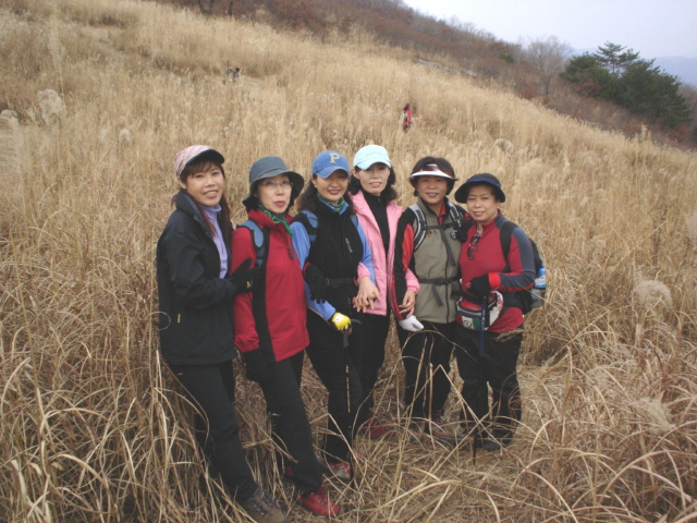 ��ſ� �ð� �Ǽ���