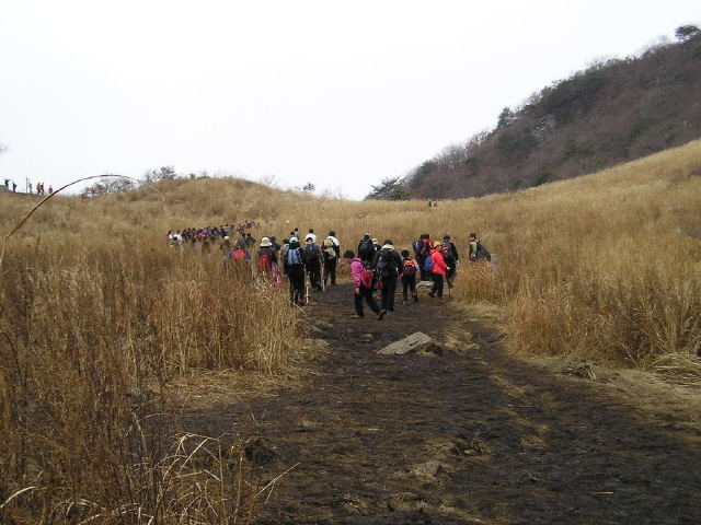 ��ſ� �ð� �Ǽ���