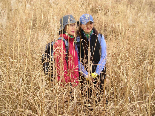 ��ſ� �ð� �Ǽ���