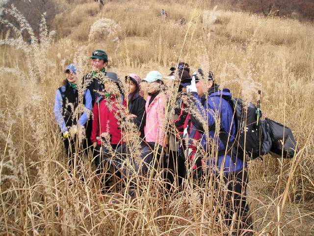 ��ſ� �ð� �Ǽ���