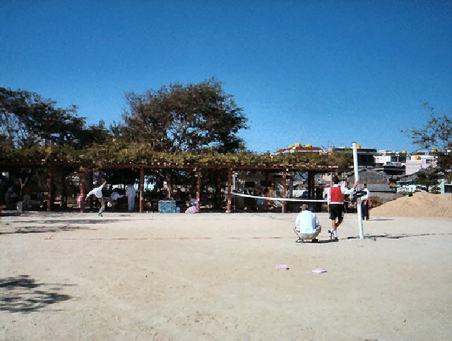 ��ſ� �ð� �Ǽ���