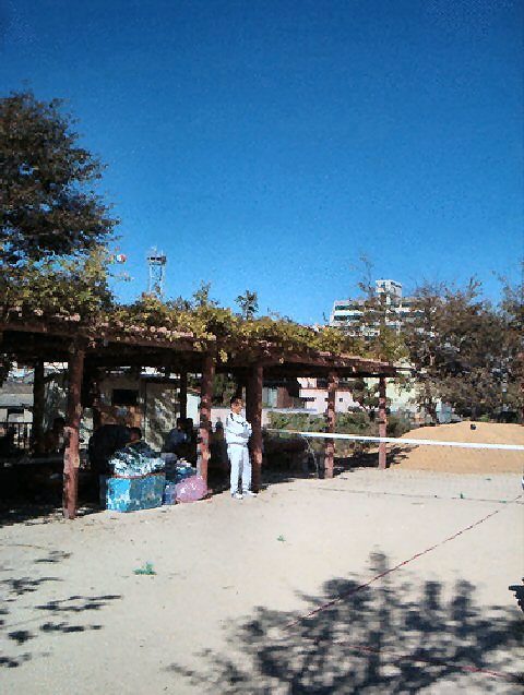 ��ſ� �ð� �Ǽ���