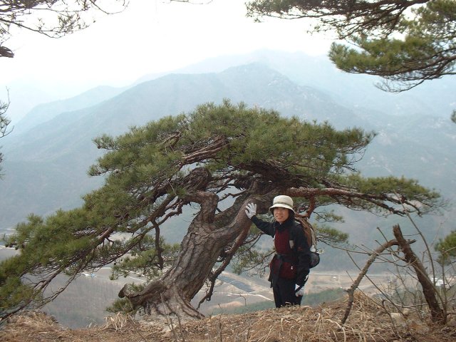 ��ſ� �ð� �Ǽ���