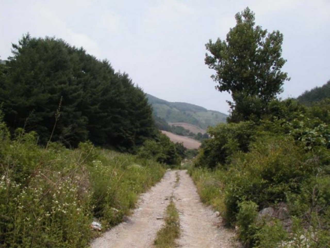 ��ſ� �ð� �Ǽ���