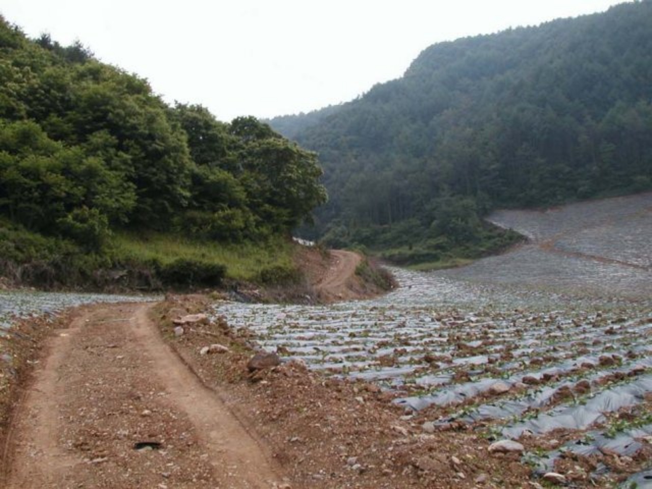 ��ſ� �ð� �Ǽ���