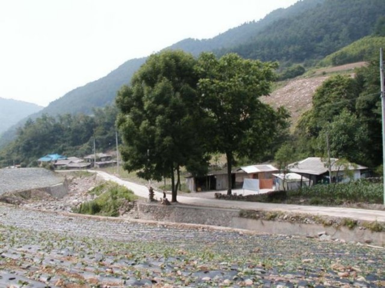 ��ſ� �ð� �Ǽ���