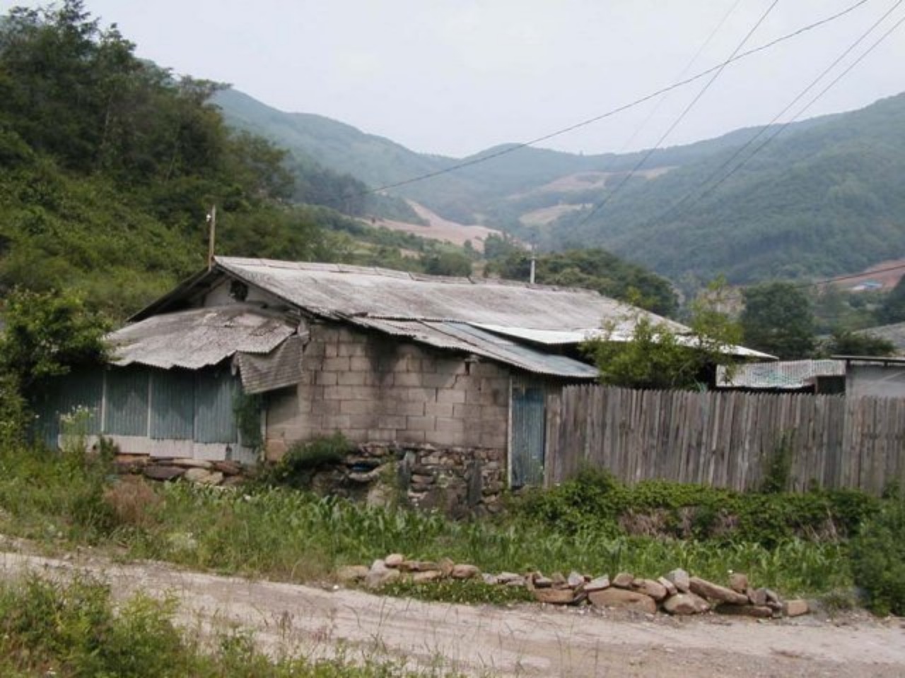 ��ſ� �ð� �Ǽ���