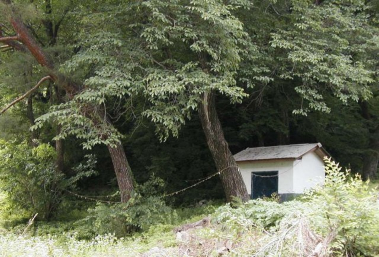 ��ſ� �ð� �Ǽ���