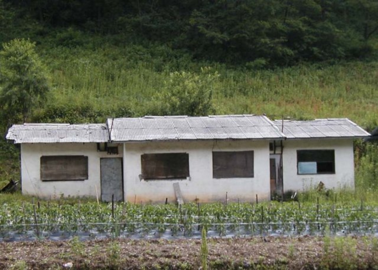 ��ſ� �ð� �Ǽ���