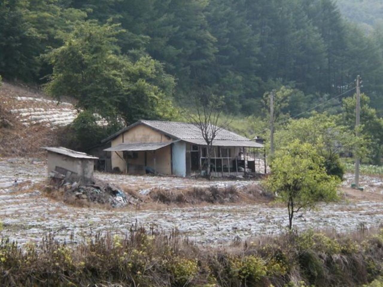 ��ſ� �ð� �Ǽ���