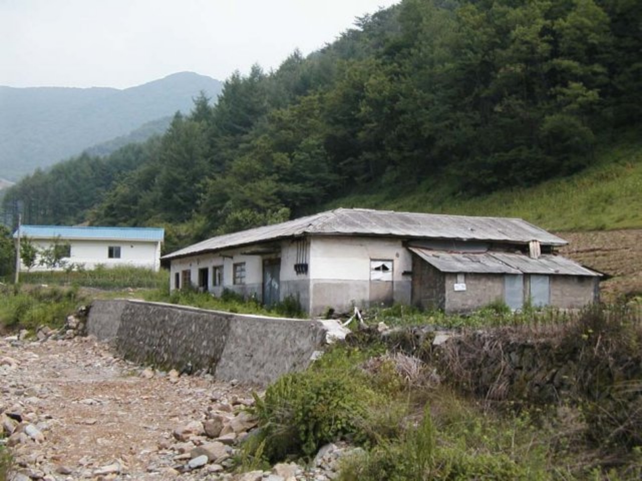 ��ſ� �ð� �Ǽ���