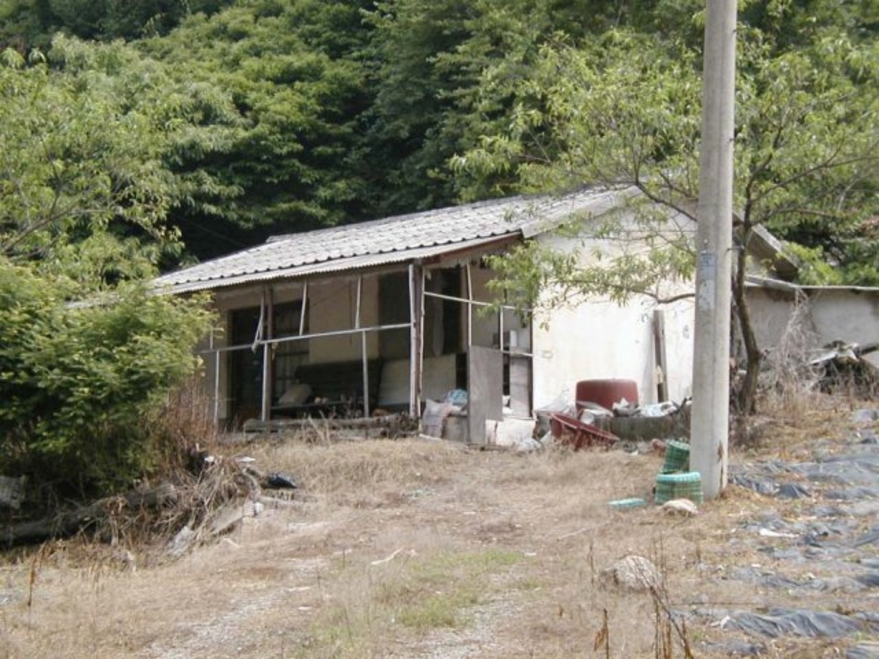 ��ſ� �ð� �Ǽ���