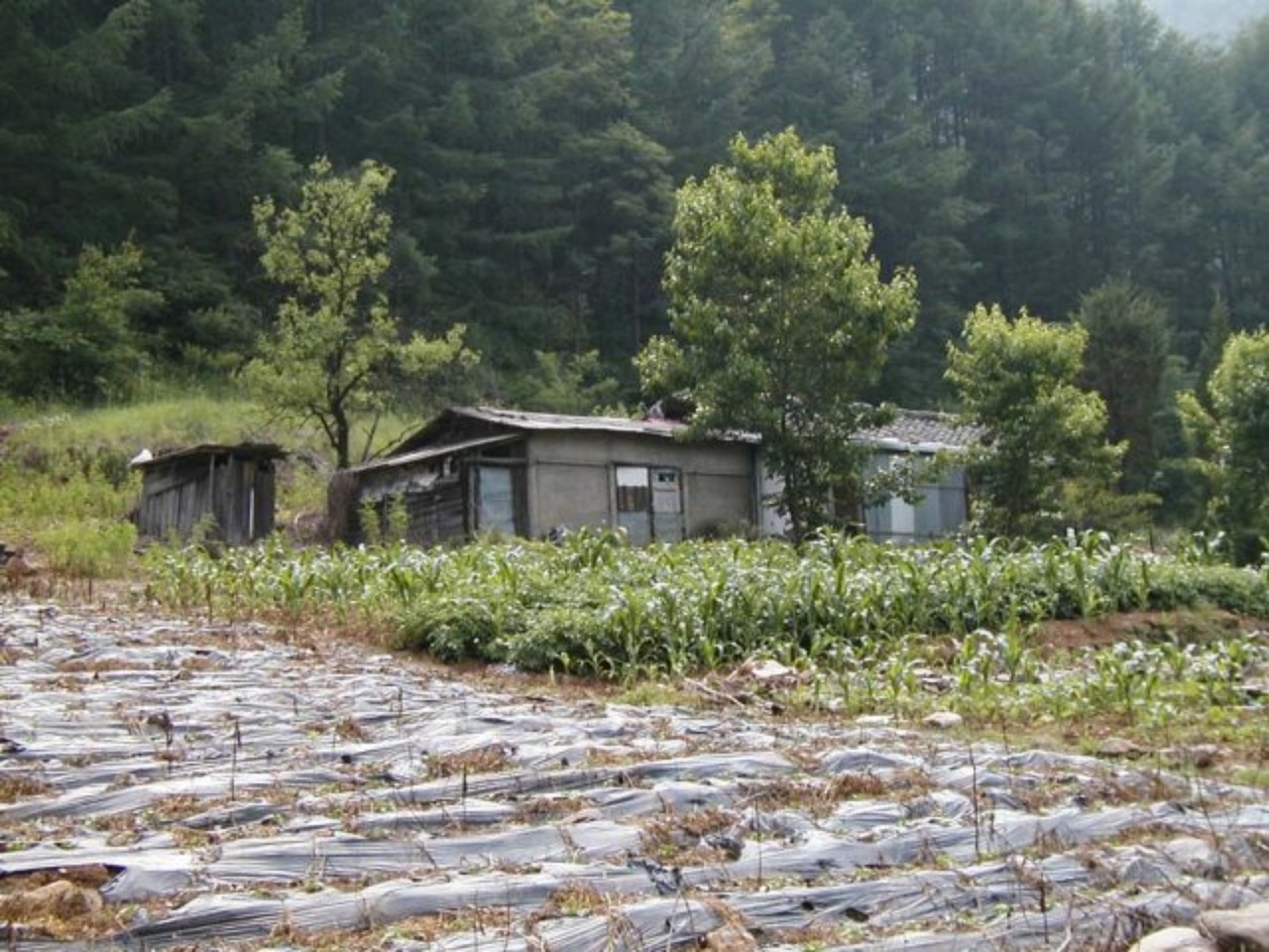 ��ſ� �ð� �Ǽ���