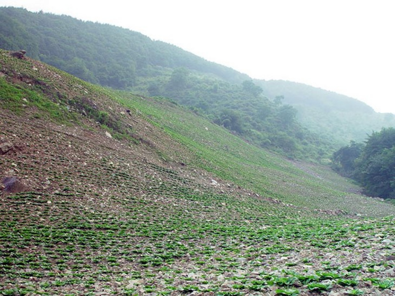 ��ſ� �ð� �Ǽ���