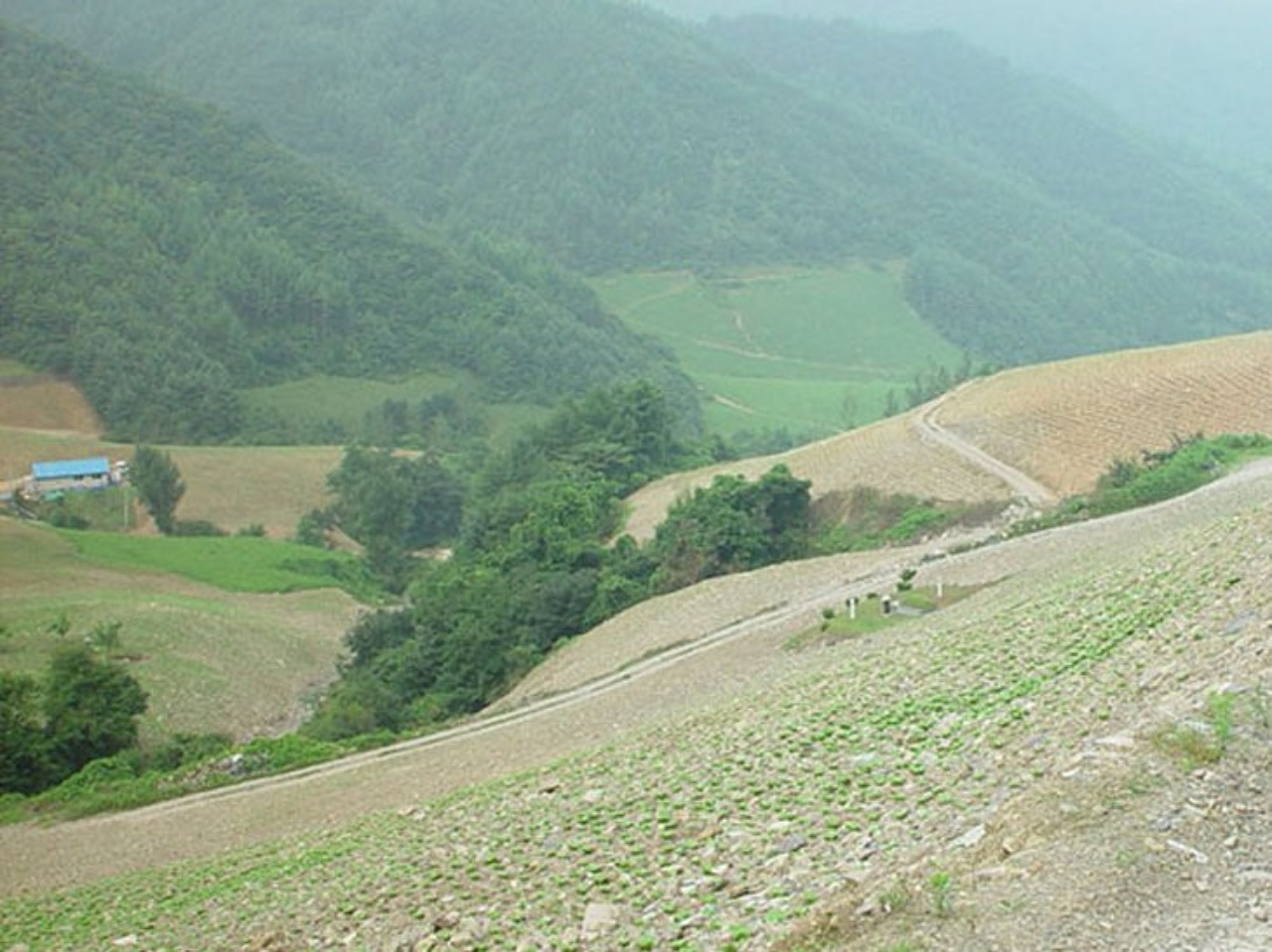 ��ſ� �ð� �Ǽ���