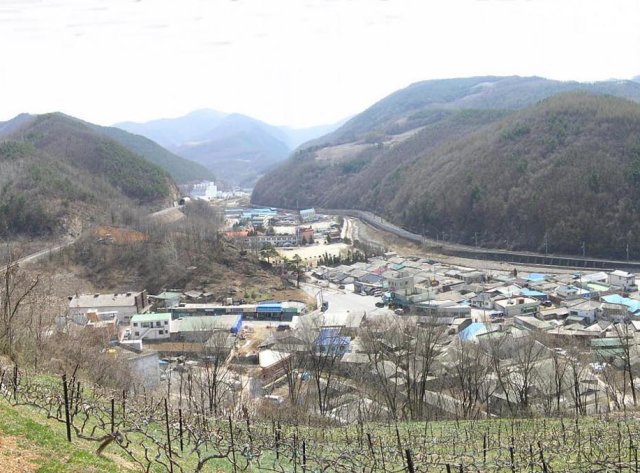 ��ſ� �ð� �Ǽ���