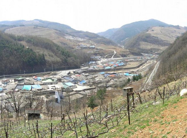 ��ſ� �ð� �Ǽ���