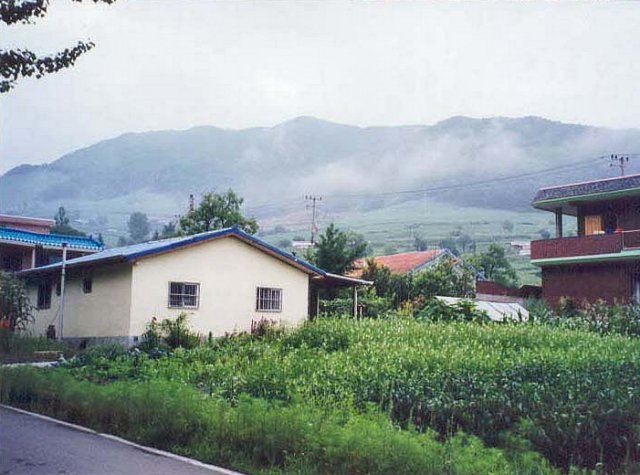 ��ſ� �ð� �Ǽ���