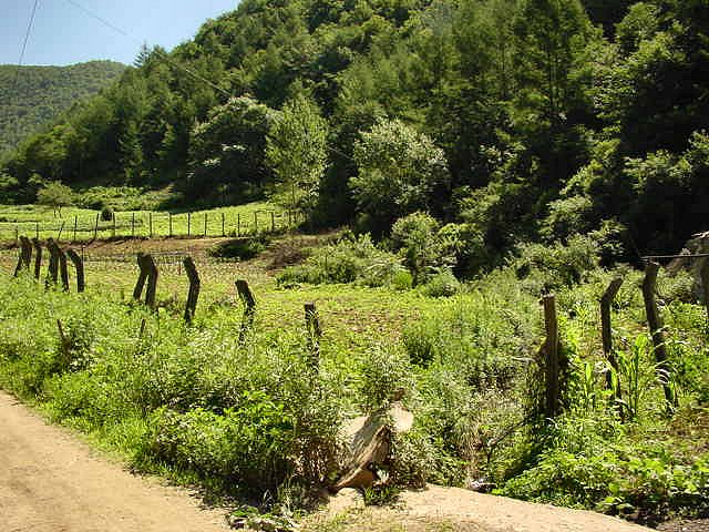 ��ſ� �ð� �Ǽ���