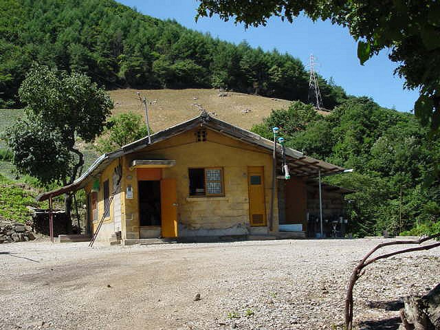 ��ſ� �ð� �Ǽ���