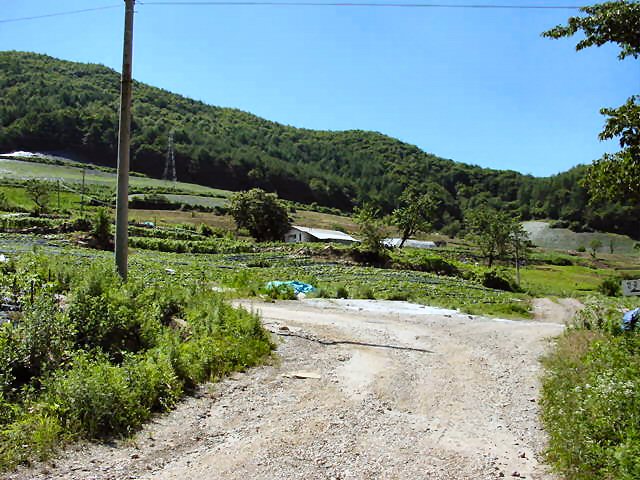 ��ſ� �ð� �Ǽ���