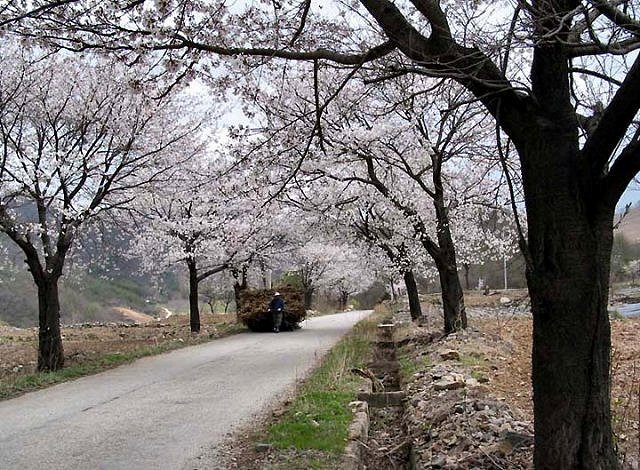 ��ſ� �ð� �Ǽ���