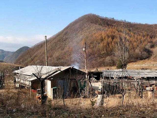 ��ſ� �ð� �Ǽ���