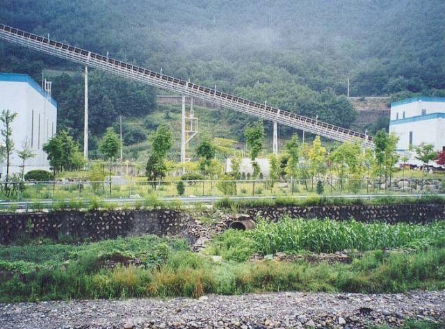 ��ſ� �ð� �Ǽ���