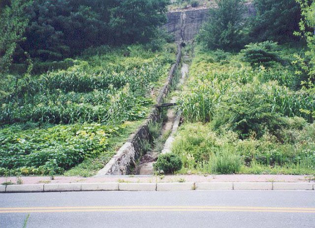 ��ſ� �ð� �Ǽ���