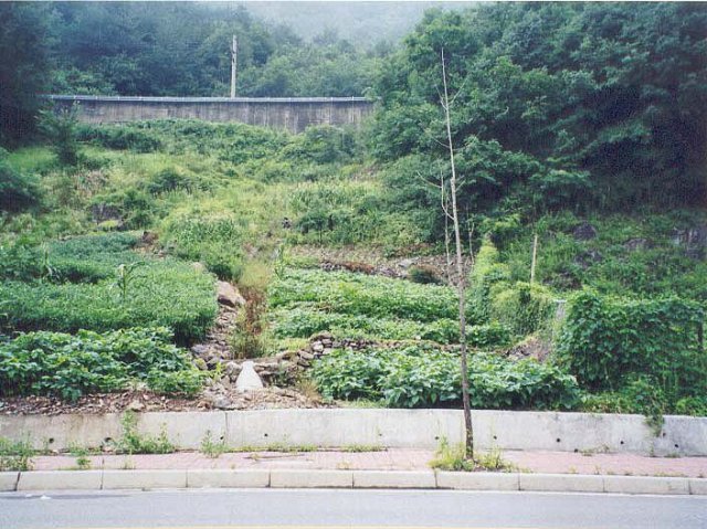 ��ſ� �ð� �Ǽ���