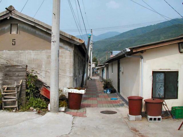 ��ſ� �ð� �Ǽ���