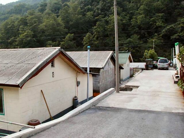 ��ſ� �ð� �Ǽ���