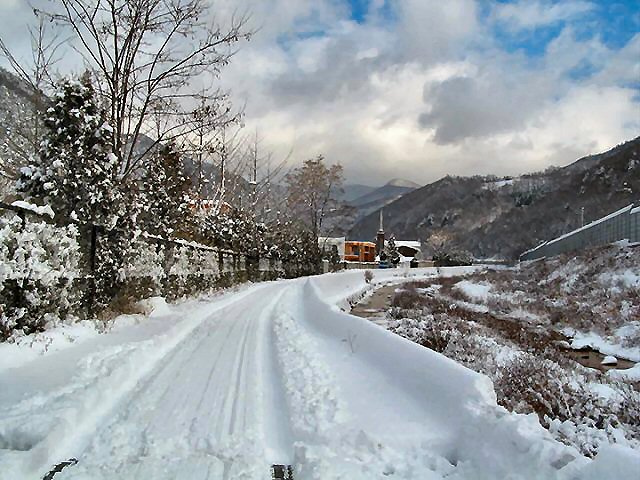 ��ſ� �ð� �Ǽ���