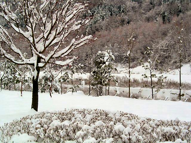 ��ſ� �ð� �Ǽ���