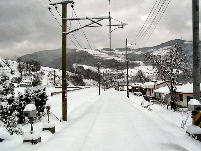 ��ſ� �ð� �Ǽ���