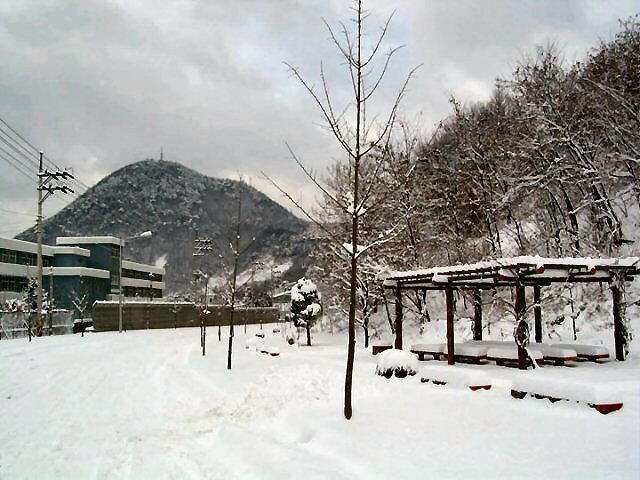 ��ſ� �ð� �Ǽ���