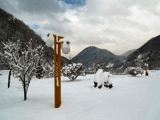 ��ſ� �ð� �Ǽ���