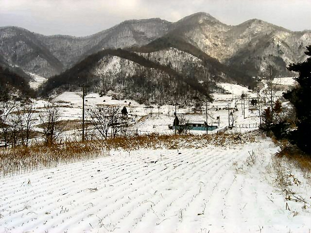 ��ſ� �ð� �Ǽ���