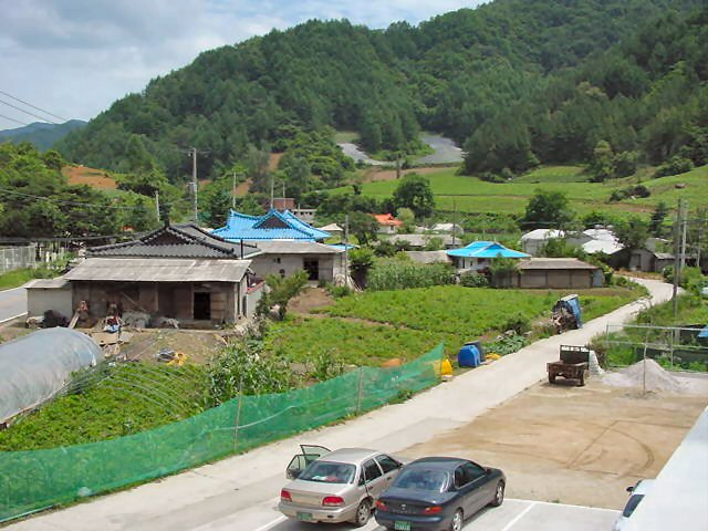 ��ſ� �ð� �Ǽ���