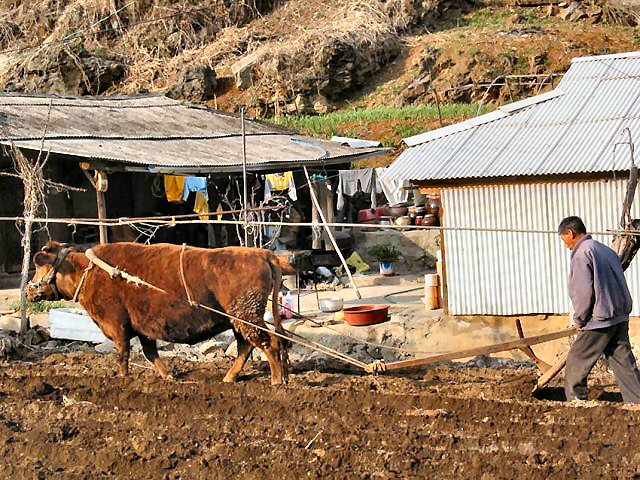 ��ſ� �ð� �Ǽ���