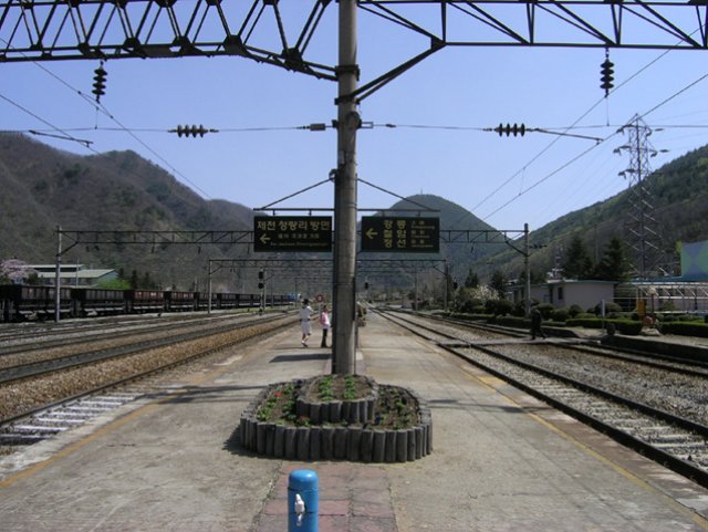 ��ſ� �ð� �Ǽ���