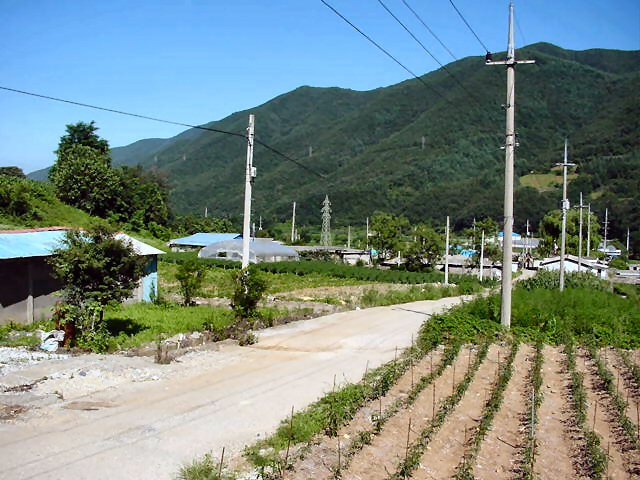 ��ſ� �ð� �Ǽ���